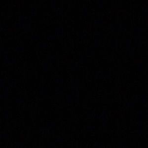 Meet your Posher, Bruno